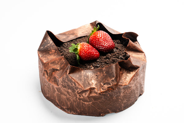 Chocolate Mousse Sponge Cake