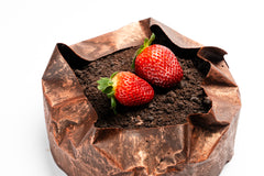 Chocolate Mousse Sponge Cake