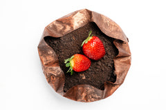 Chocolate Mousse Sponge Cake