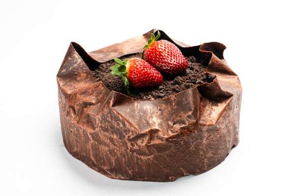 Chocolate Mousse Sponge Cake